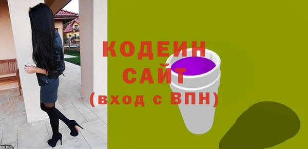 индика Богородицк